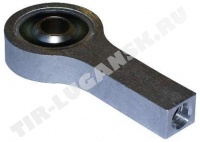 BK2934921SP Bergkraft