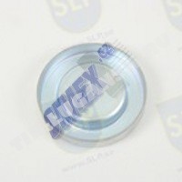 CAP PLUG