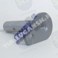 PIN