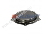 Hub Cap