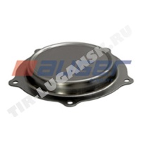 Hub Cap
