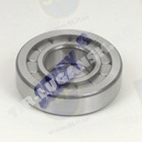 BEARING PINION
