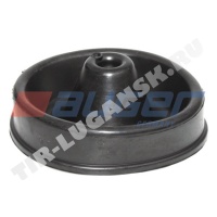 Dust Cover