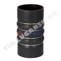 Hose