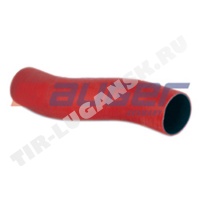 Hose
