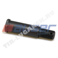 Болт крепления стабилизатора М20*1.5*D=25mm/L=110