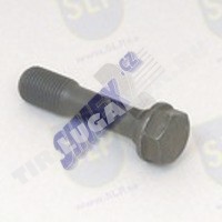 CON ROD SCREW