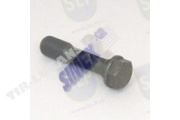 CON ROD SCREW