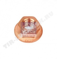 366204 DIESEL TECHNIC