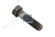 Screw