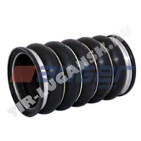 Hose