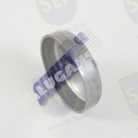 CAP PLUG