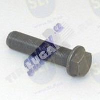CON ROD SCREW