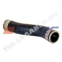 Hose