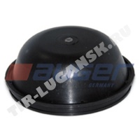 Hub Cap