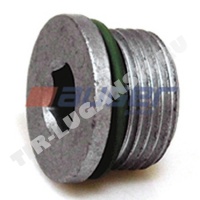 Пробка колпака ступицы М26*2