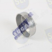 CAP PLUG