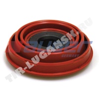 Dust Cover