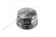 Колпак ступицы М125*3