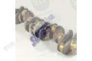 CRANK SHAFT