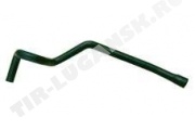 EXPANSION TANK HOSE