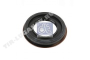 Oil seal