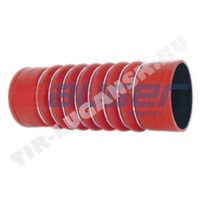 Hose