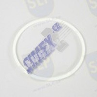 BACK-UP RING