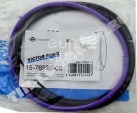 157692606 VICTOR REINZ