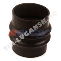 Hose